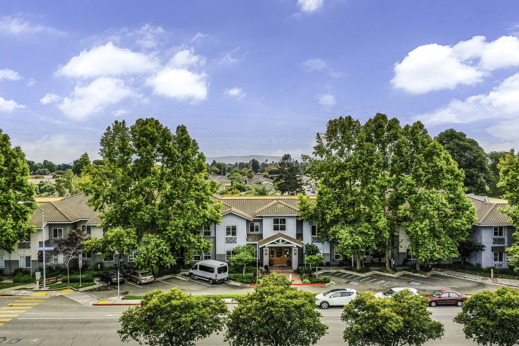 Aerial View Aerial View